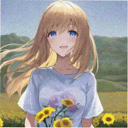 读者苏禾的头像